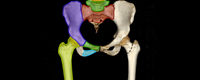 Anatomie ostéo-articulaire: bassin