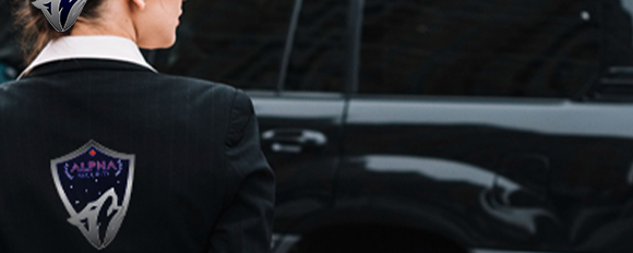 Security Companies Provide Reliable Protection Solutions
