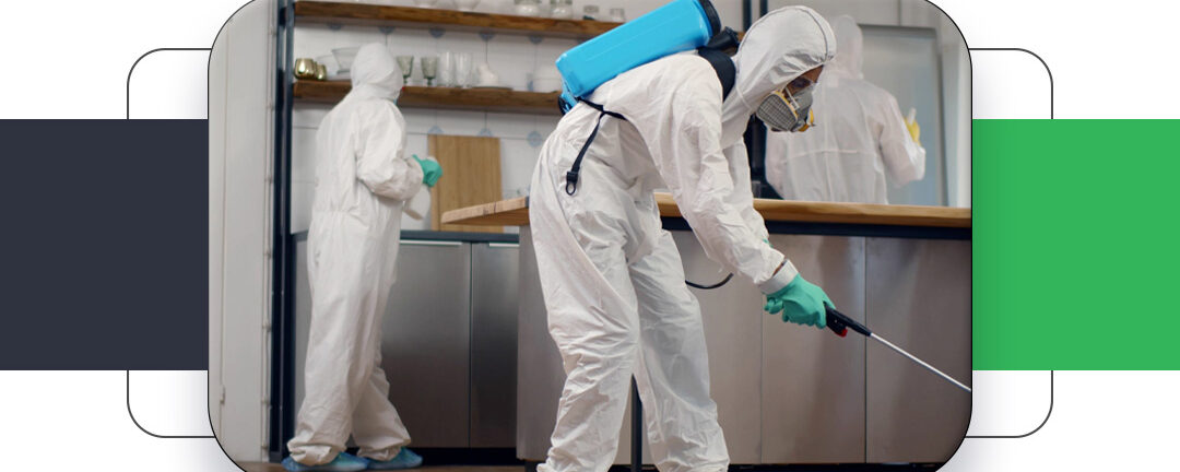 Local Pest Control Clarington: Reliable Protection for Your Property