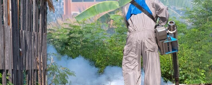 Year-Round Pest Protection Packages Tailored for Darwin’s Climate