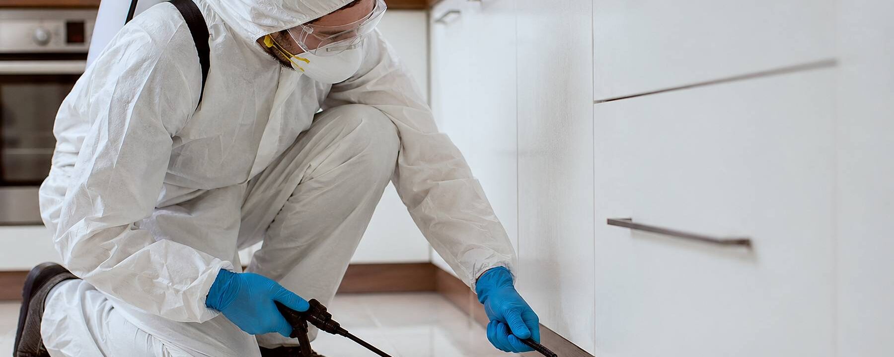 Pest Control Montreal Ants: Easy Ways to Keep Ants Away