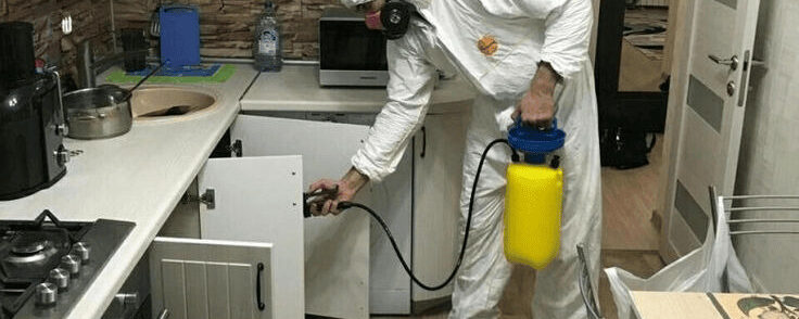 Pest Control Holland Landing Home Guide