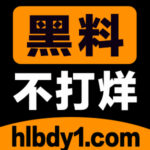 Illustration du profil de hl365