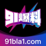 Illustration du profil de 91blc